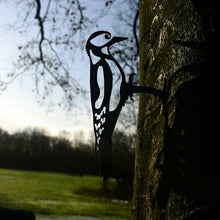 Afbeelding in Gallery-weergave laden, Metal bird specht