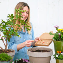 Afbeelding in Gallery-weergave laden, Bloembommetjes
