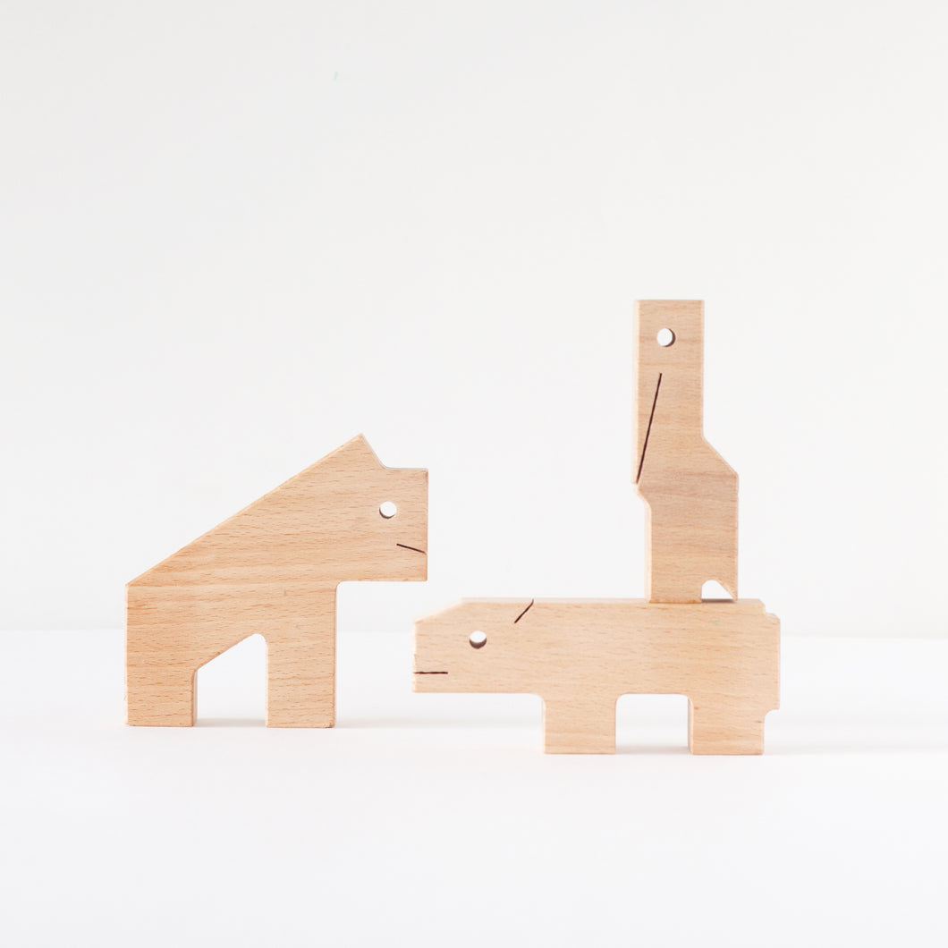 Houten speelgoed set 3 PGT