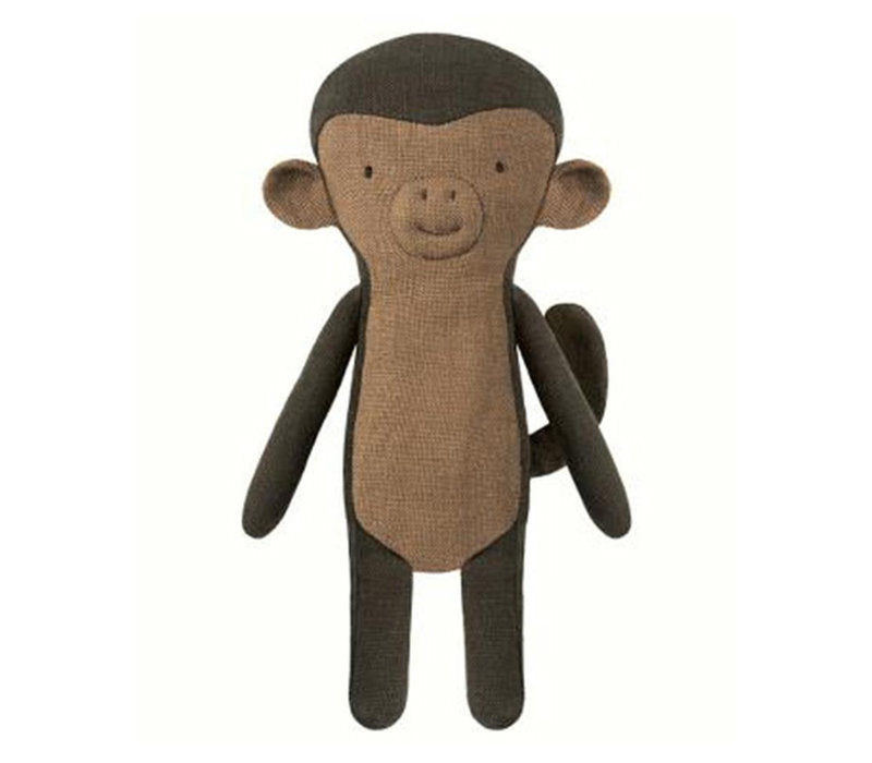 Noah's friend mini monkey