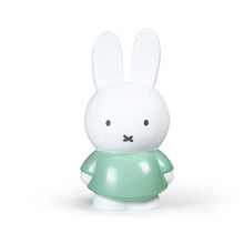 Afbeelding in Gallery-weergave laden, Nijntje spaarpot L (blauw)
