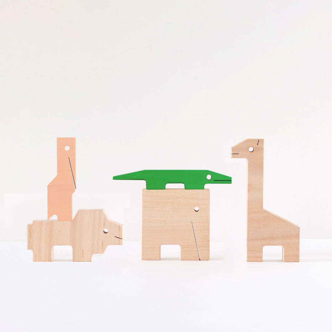 Houten speelgoed set 5 colour